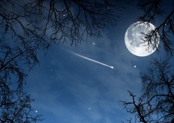 Любителей ночного неба ждет приятное зрелище «фото»
