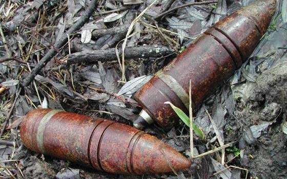Возле трассы Одесса-Рени найдено 5 артснарядов usionline.com Возле трассы Одесса-Рени найдено 5 артснарядов «фото»