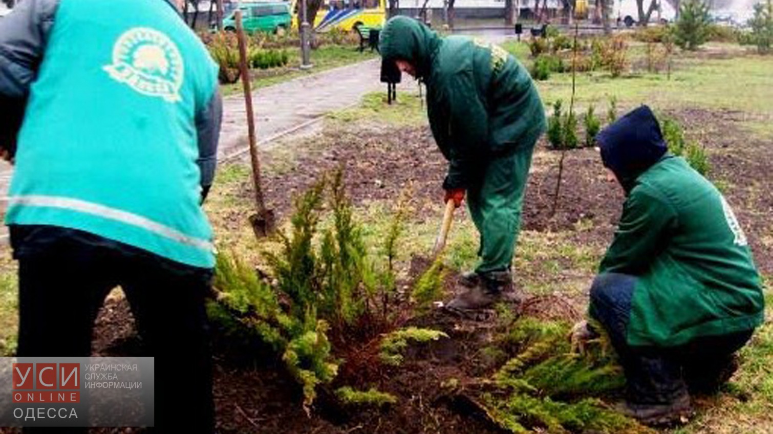 Коммунальщики озеленили площадь Деревянко «фото»