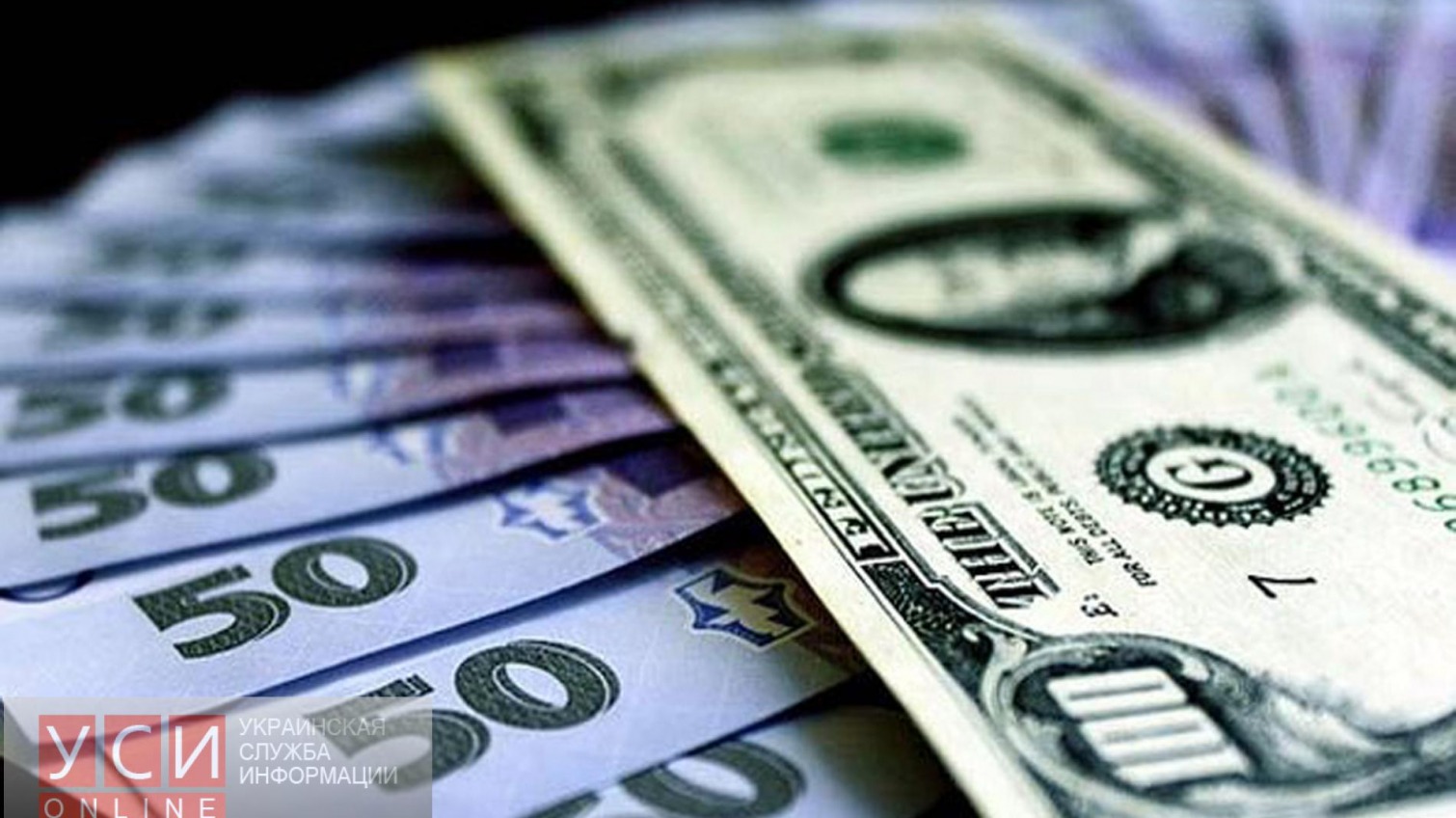 В нынешнем году доллар может сохранить курс на уровне 24 гривен, — эксперт «фото»