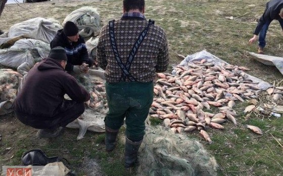 Измаильские рыбаки помогли поймать браконьеров, уничтоживших тонну рыбы (фото) «фото»
