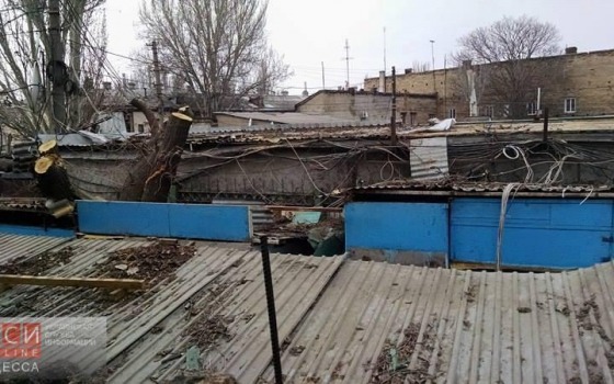 Варварские действия коммунальщиков возмутили одесситов «фото»