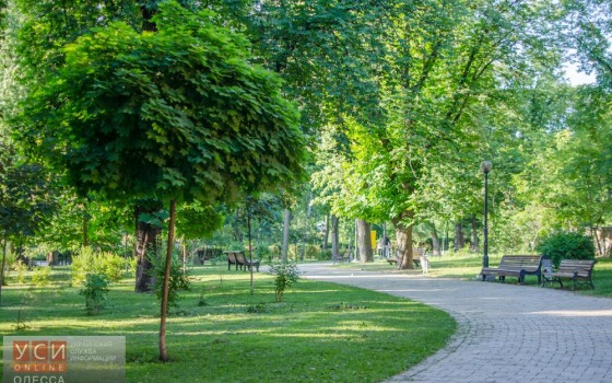 В Одессе появится новая зеленая зона usionline.com В Одессе появится новая зеленая зона «фото»