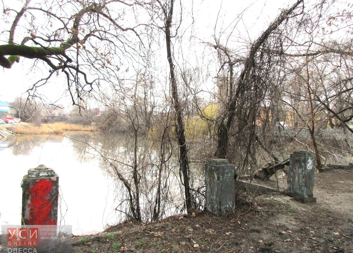 Бывший пруд у бывшей Джутовой фабрики все еще остается большой городской проблемой (фото) «фото»