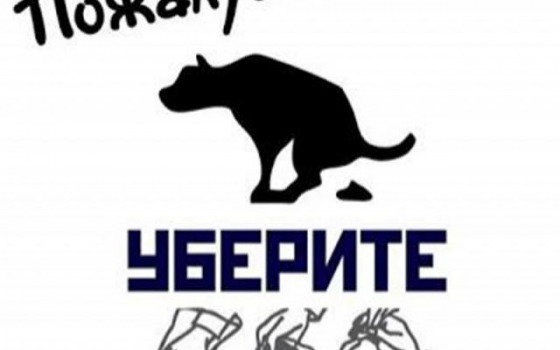 Одесса утопает в собачьих экскрементах usionline.com Одесса утопает в собачьих экскрементах «фото»