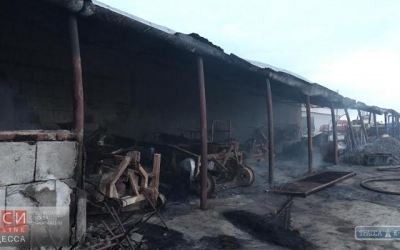 Большой пожар в Одесской области «фото»
