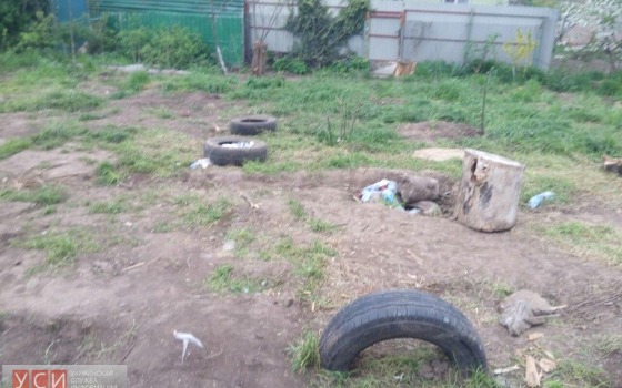 На участке возле парка “Юность” снесли забор: местные жители считают строительство незаконным «фото»