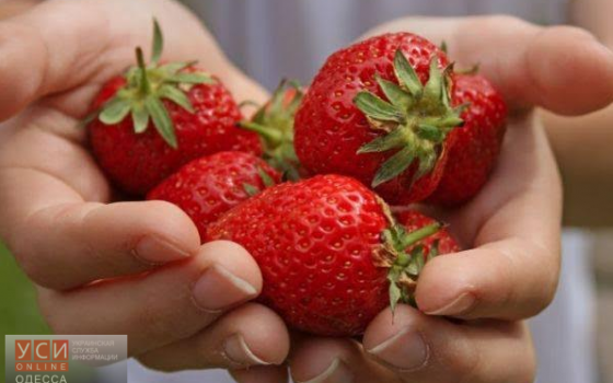 В одесском Горсаду будут готовить клубничное смузи и варенье «фото»