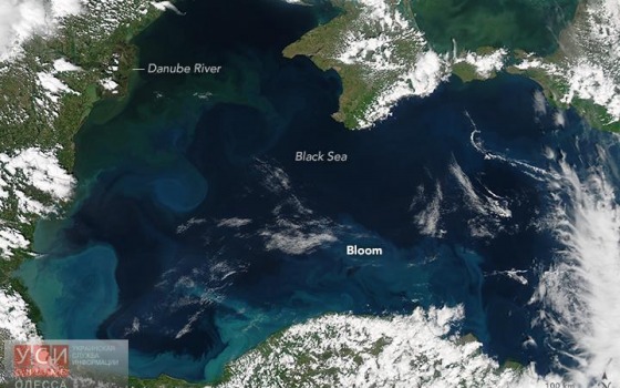 НАСА показало уникальный снимок Черного моря usionline.com НАСА показало уникальный снимок Черного моря «фото»