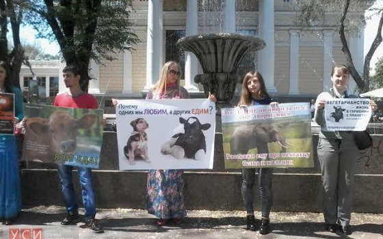 В Одессе прошлись маршем за вегетарианство (фото) usionline.com В Одессе прошлись маршем за вегетарианство (фото) «фото»