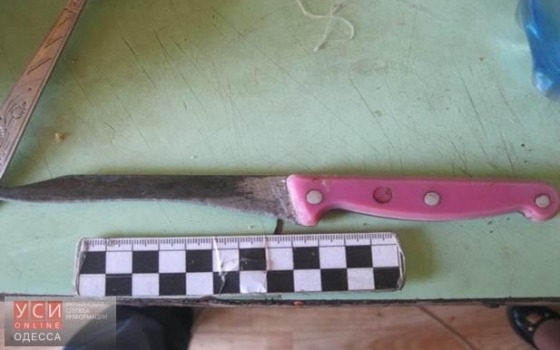 В Одесской области задержали мужчину, который, приняв на грудь, зарезал сожительницу «фото»