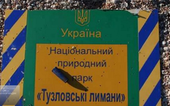 На территории национального парка в Одесской области нашли логово браконьеров (фото) «фото»