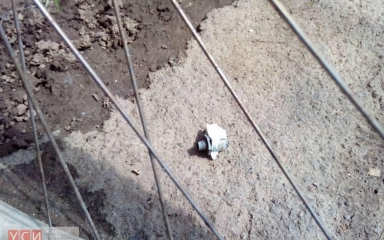 В Фонтанке во дворе дома одного из активистов взорвали гранату «фото»