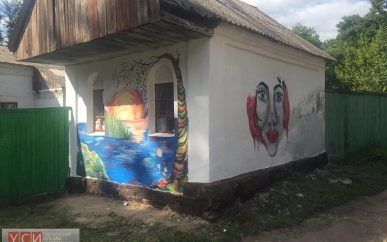 В Саврани появились муралы на деревенских домах (фото) «фото»