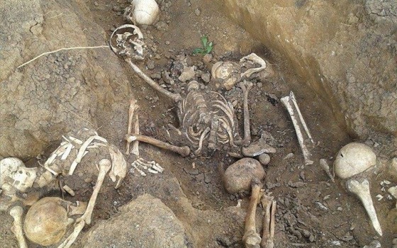 Одесситы в Донецке нашли останки воинов Второй мировой войны (фото) «фото»