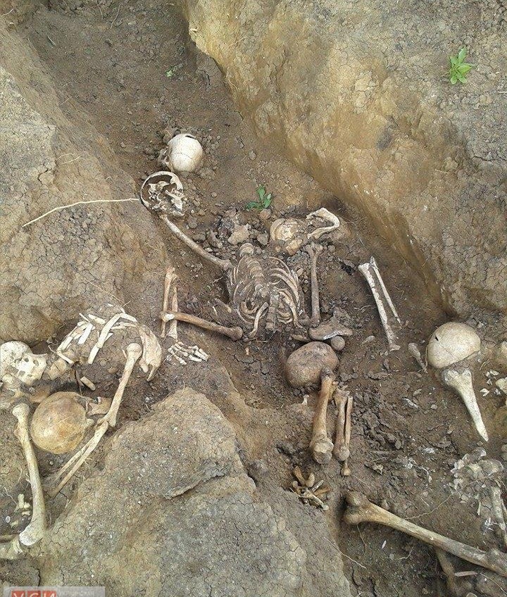 Одесситы в Донецке нашли останки воинов Второй мировой войны (фото) «фото»