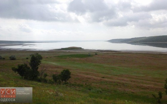 Одесский активист обнаружил признаки возрождения Куяльницкого лимана (фото) «фото»