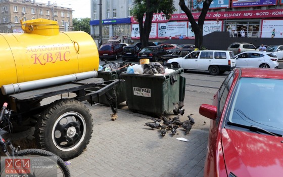 Вывоз мусора в Одессе: завышенные тарифы и низкое качество услуг «фото»