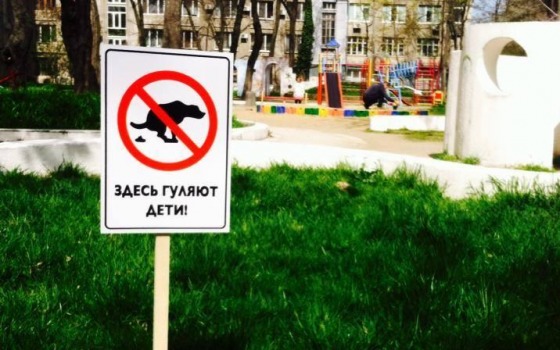 Одесситы требуют защитить детей от опасных гельминтов «фото»