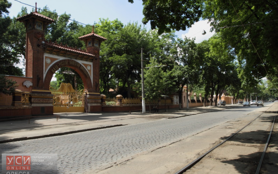 Французскому бульвару грозит скорая реконструкция «фото»