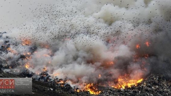 В Одесской области горела мусорная свалка «фото»