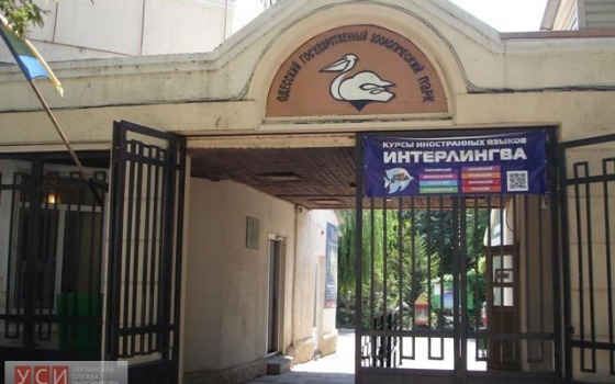 В мэрии планируют перенести вход в зоопарк «фото»