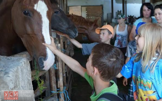 Воспитанники Белгород-Днестровского детдома погостили у лошадей (фото) «фото»
