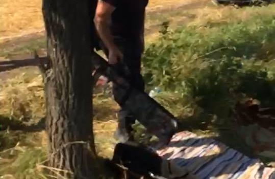 В Татарбунарском районе вооруженные люди собрали 15 тонн урожая с чужой земли, – очевидец (фото) «фото»