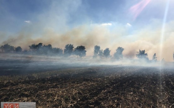 В Килийском районе сотни гектар убранных полей умышленно поджигаются фермерами (фото, обновлено) «фото»