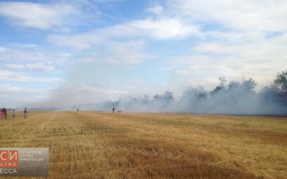 На трассе Одесса-Рени произошло ДТП из-за пожара на придорожном поле, – СМИ «фото»