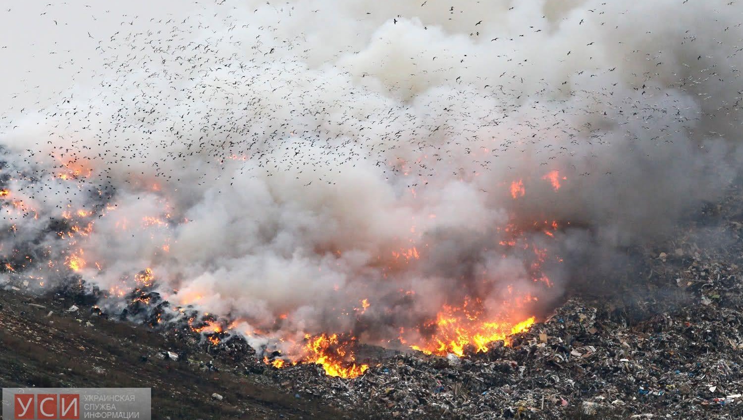 В Измаильском районе горела незаконная мусорная свалка «фото»