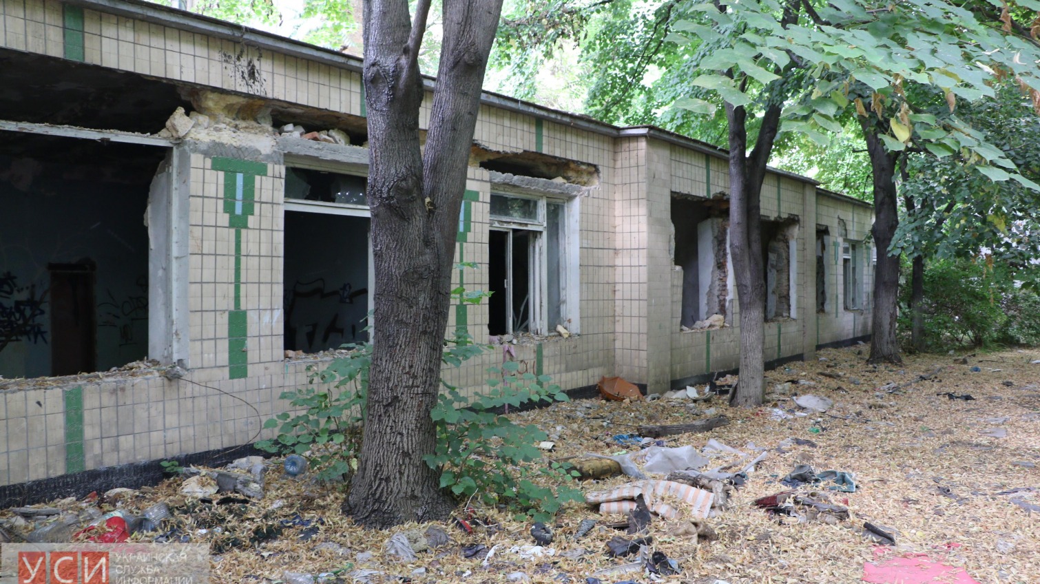 В Одессе детский сад превратился в непроходимые трущобы (фото) «фото»