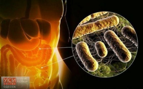 СЭС назвала причины массового отравления шаурмой в Измаиле «фото»