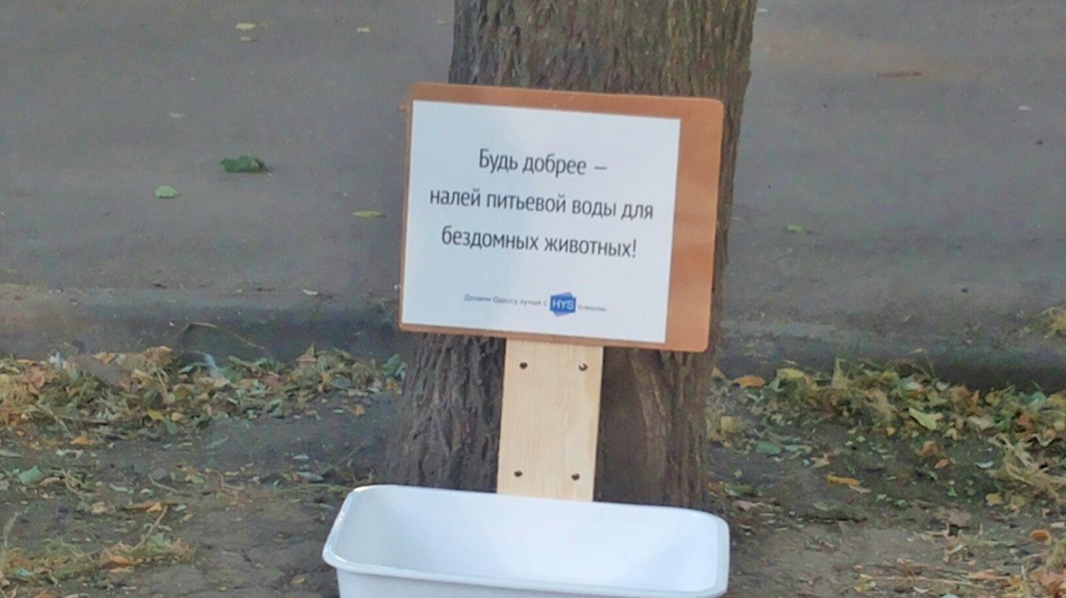 В Одессе появились поилки для бездомных животных (фото) «фото»