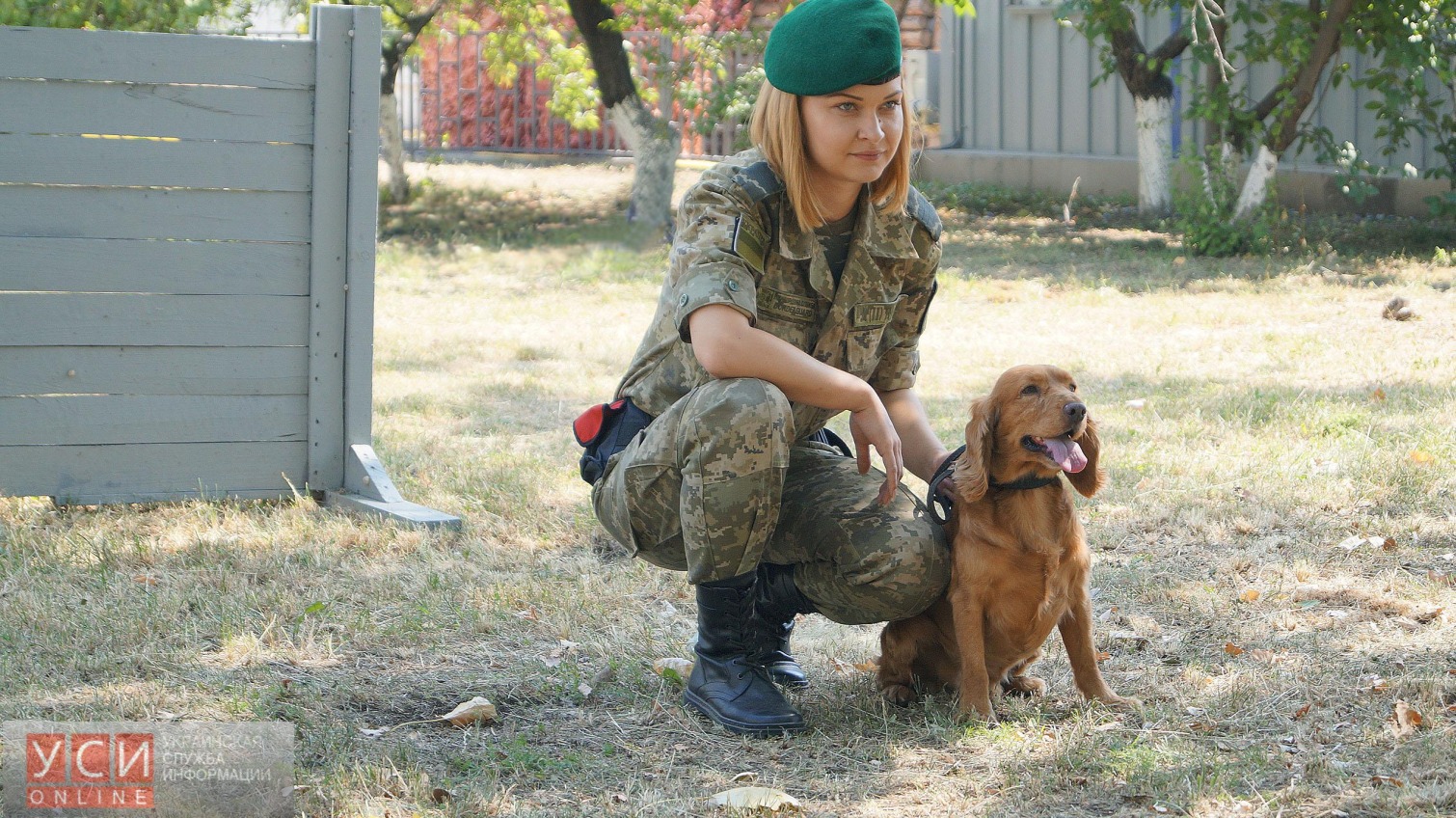 Одесские собаки-ищейки стали лучшими в соревнованиях пограничников (фото) «фото»