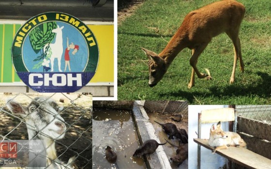 В Измаиле появится мини-зоопарк «фото»