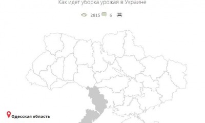 Одесская область собрала самый большой урожай зерновых в Украине (инфографика) «фото»