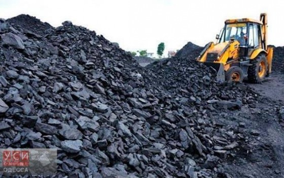 В лесу Одесской области выявили три цеха подпольного производства угля «фото»