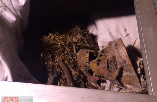 Мавзолей Котовского в Подольске разграблен: местные власти готовятся к его сносу (фото) «фото»