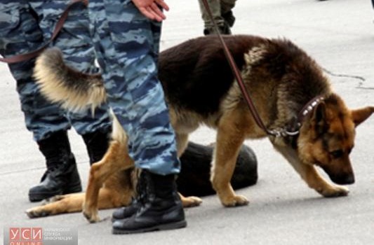В Хозяйственном суде на проспекте Шевченко ищут бомбу (обновлено) «фото»