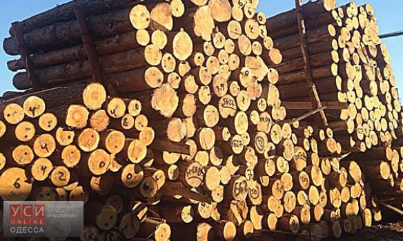 Оперативники обнаружили канал незаконного экспорта леса из Одессы (фото) «фото»