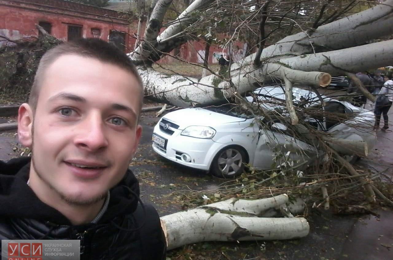 В Одессе продолжают падать деревья и билборды (фото) «фото»