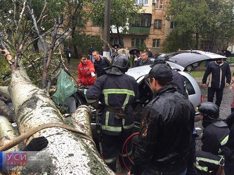 На Ицхака Рабина дерево раздавило машину вместе с автомобилистом (фото, обновлено) «фото»