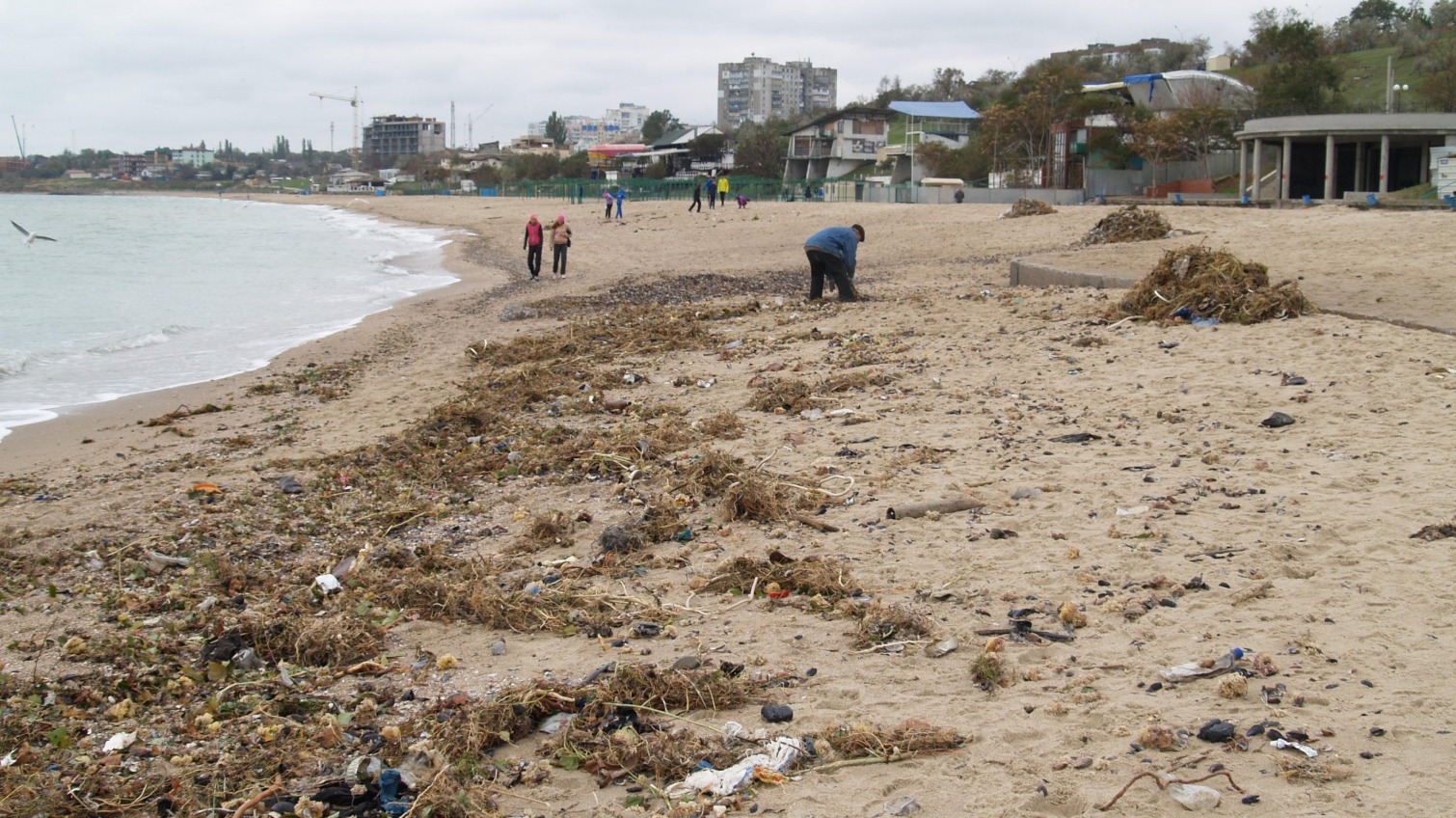 После шторма: жители Черноморска собирают мидии, рапаны и мусор (фото) «фото»