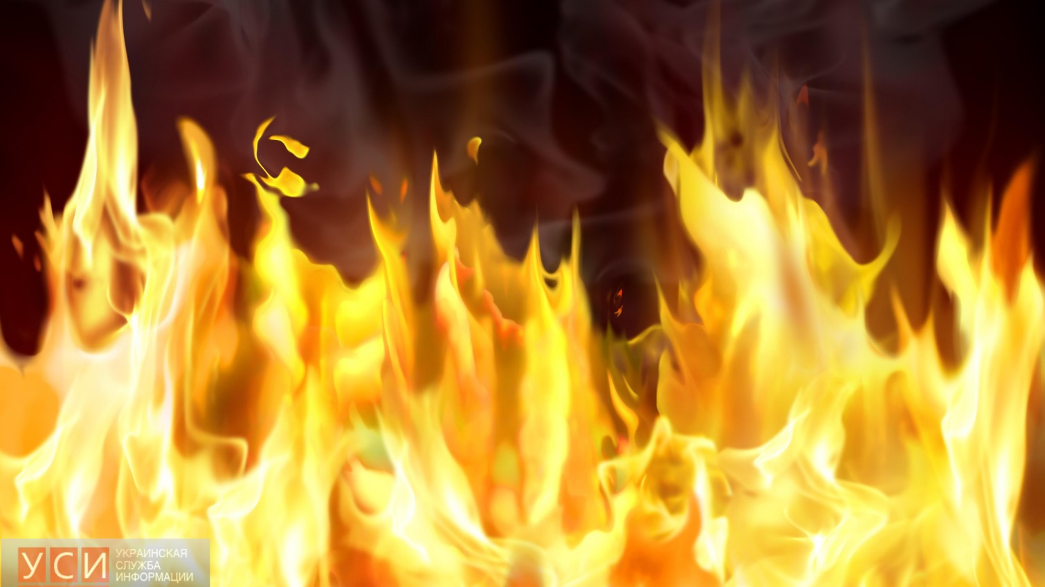 В Совиньоне сгорел «Mercedes»: владелец иномарки надышался дымом и госпитализирован «фото»