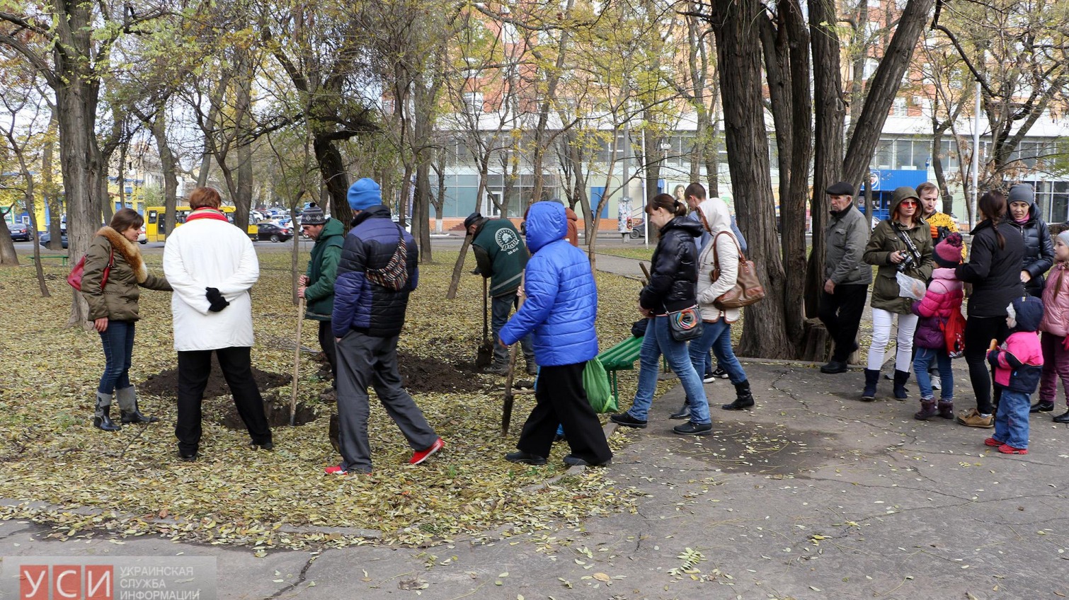 В Одессе появилась «Аллея мира»: переселенцы высадили в городе новые деревья (фоторепортаж) «фото»