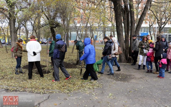В Одессе появилась «Аллея мира»: переселенцы высадили в городе новые деревья (фоторепортаж) «фото»