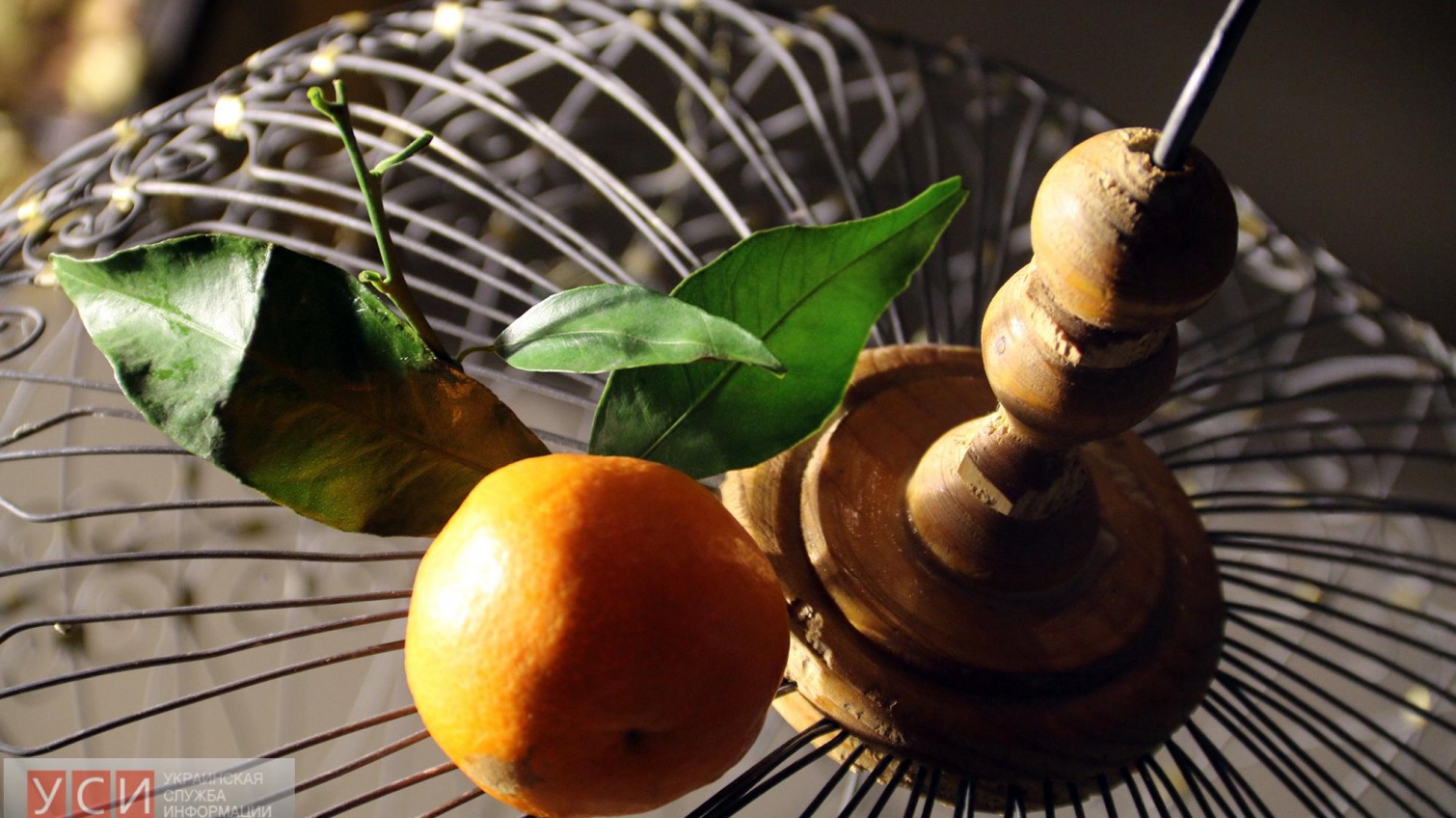 Выставка произведений искусства «Запах мандарин» открылась в Одессе (фото) «фото»