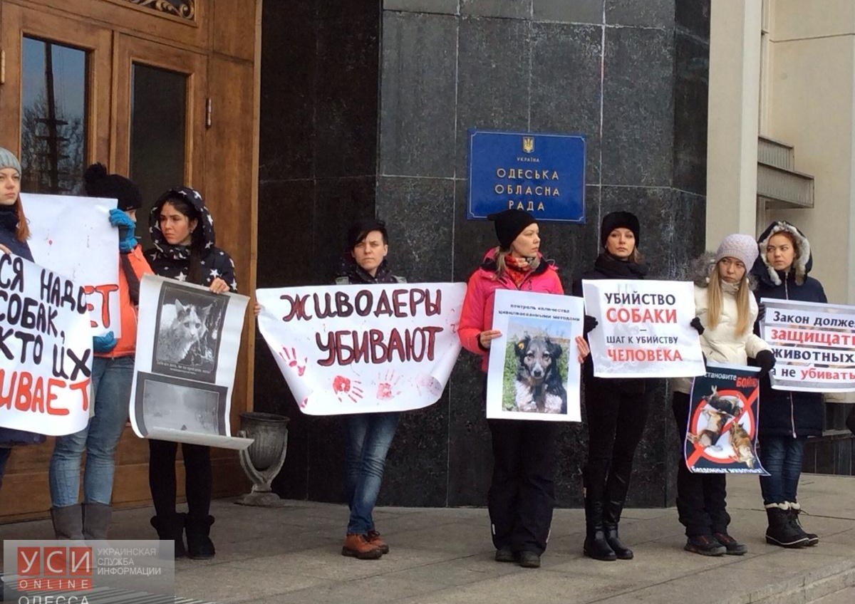 Одесские зоозащитники пикетировали ОГА с требованием ужесточить наказание за жестокое обращение с животными (фото) «фото»