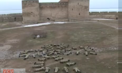 Пограничники отжались во дворе Белгород-Днестровской крепости (видео) «фото»